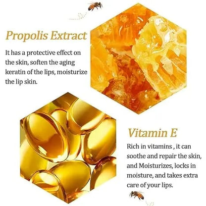 TAILEDEN Bee Lip Balm Honey Pot 🍯 | Nourish with Natural Beeswax & Honey 🐝 - A Sweet Little Gift Idea